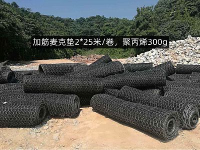 加筋麥克墊網(wǎng)格8*10cm,聚丙烯質(zhì)量300g,多少錢(qián)，怎么賣(mài)？